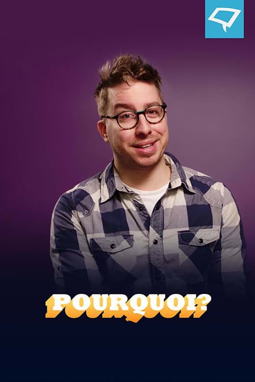 Pourquoi? poster