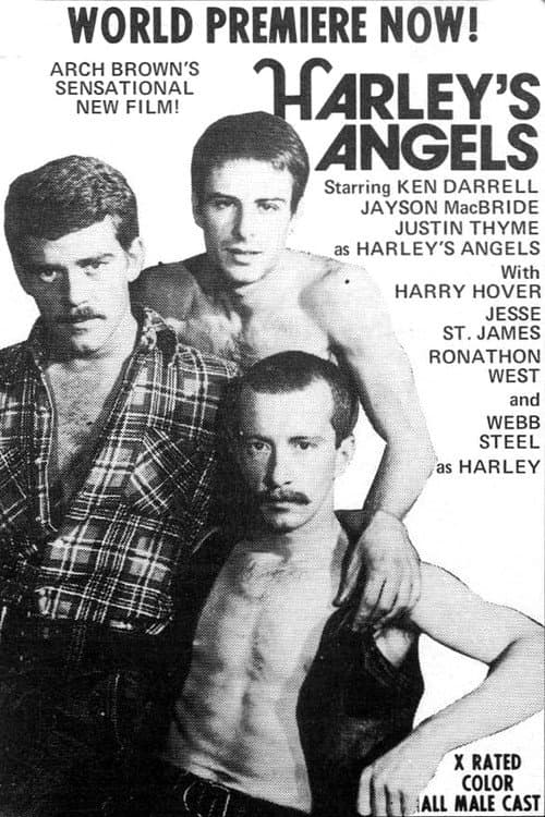 Harley's Angels poster