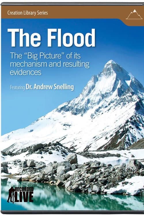 The Flood poster