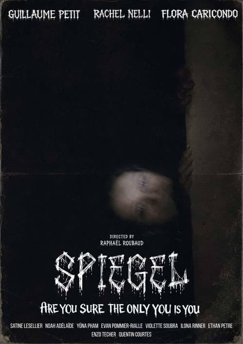 Spiegel poster