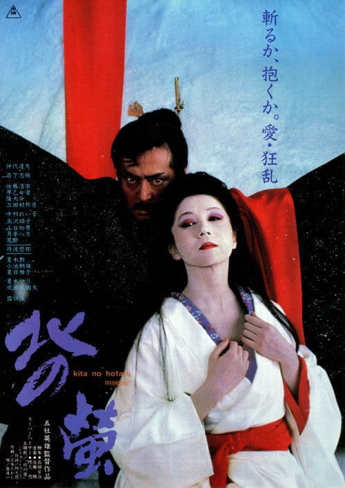 Fireflies in the North poster