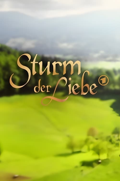 Storm of Love poster