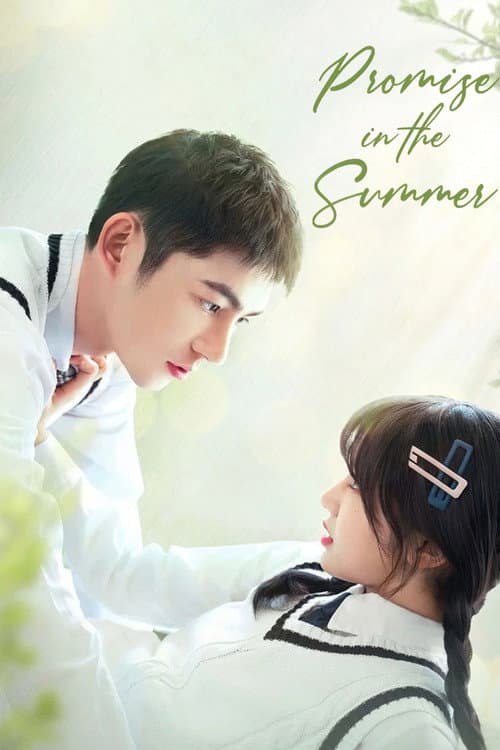 Promise in the Summer poster