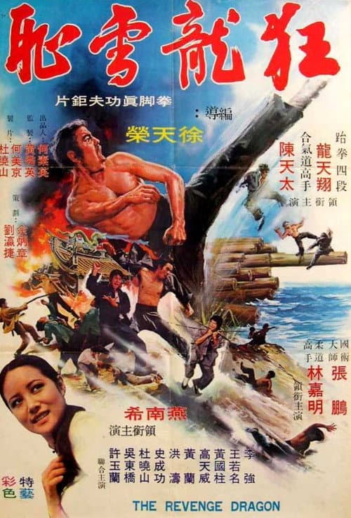 Dragon Force Operation poster