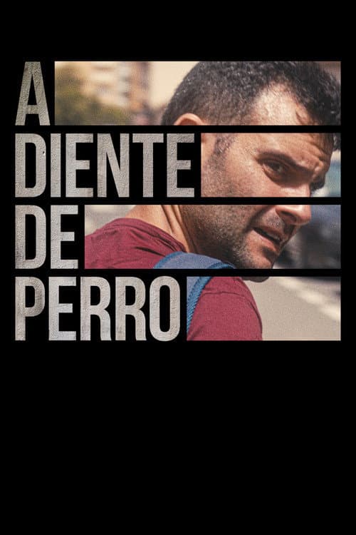 A diente de perro poster