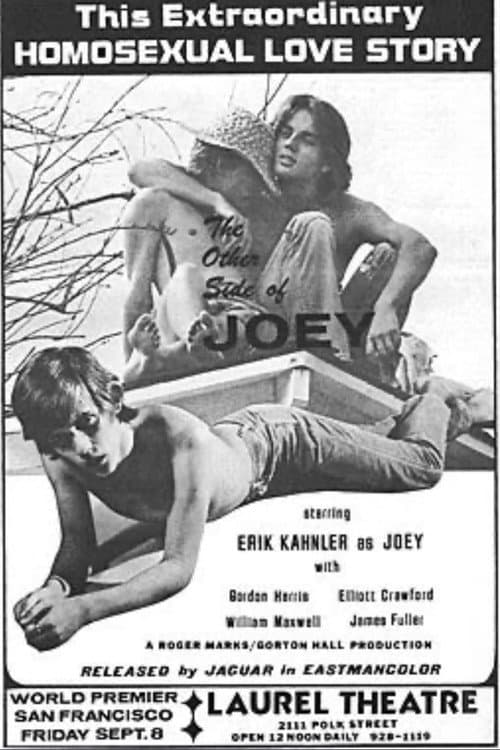 The Other Side of Joey poster