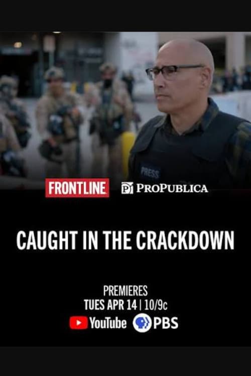 Caught in the Crackdown poster