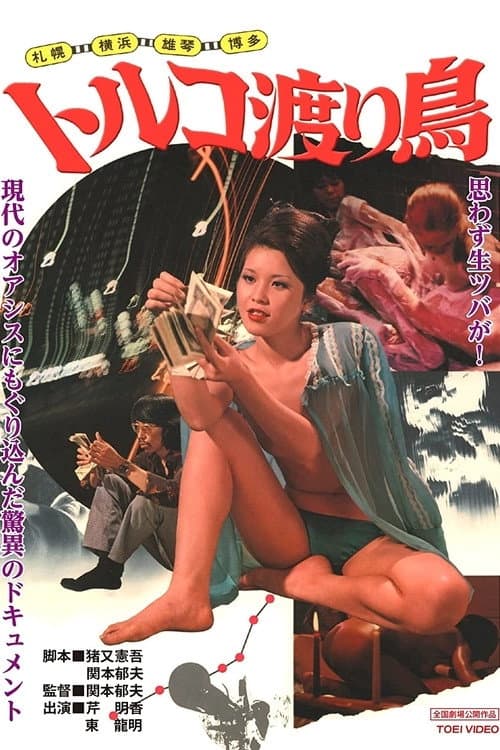 Sapporo, Yokohama, Ogoto, Hakata: Turkish Migratory Birds poster