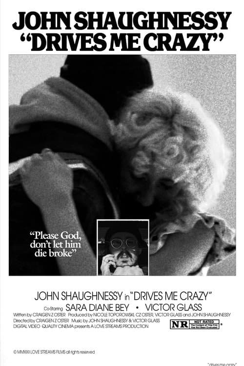 Drives Me Crazy poster