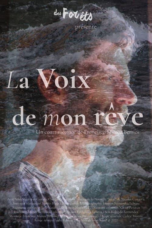 The Voice of My Dream poster