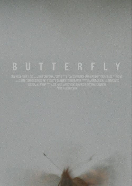 Butterfly poster