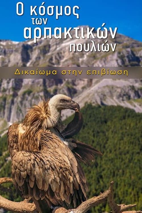 The World of Birds of Prey – Right to Survival poster
