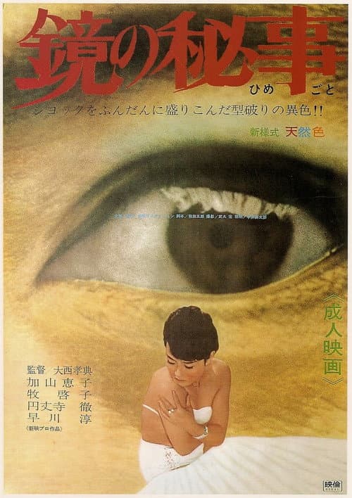 The Secret of the Mirror poster