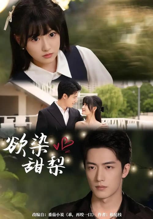 欲染甜帮 poster