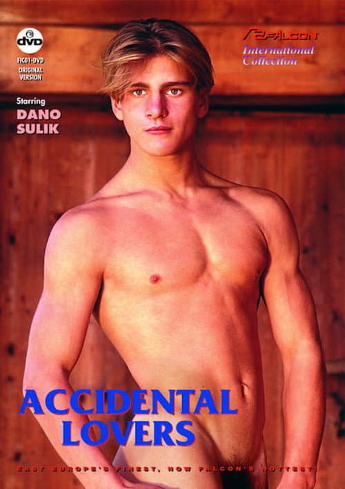 Accidental Lovers poster