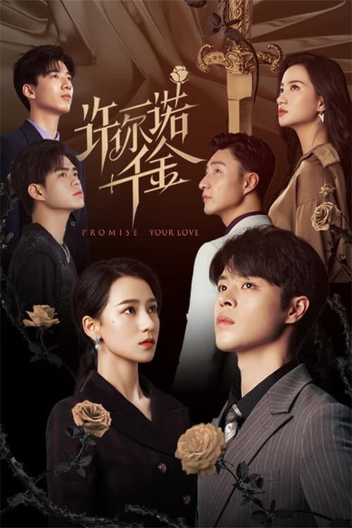 Promise Your Love poster