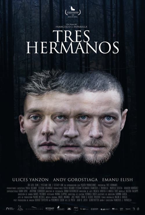 Three Brothers poster
