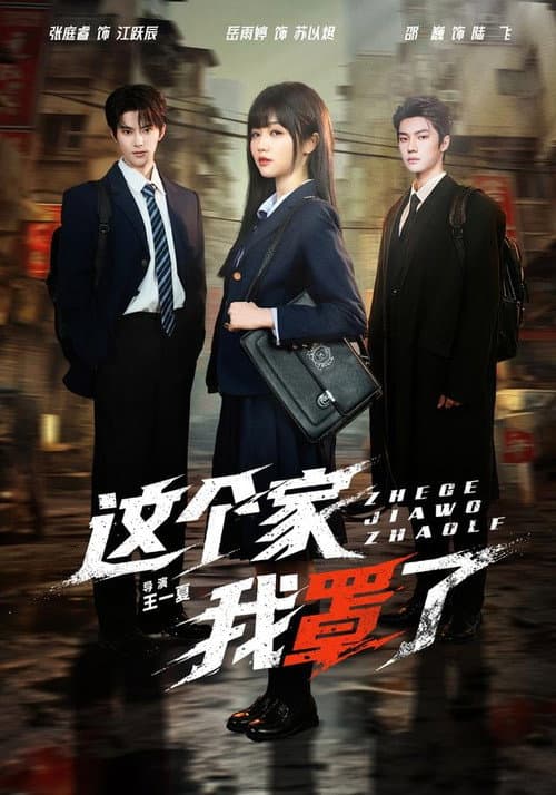 这个家我罩了 poster