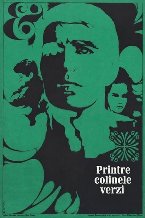 Sick Animals poster