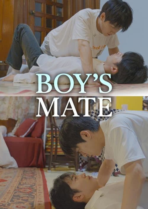 Boy's Mate poster