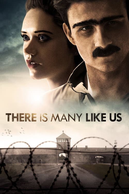 There Is Many Like Us poster
