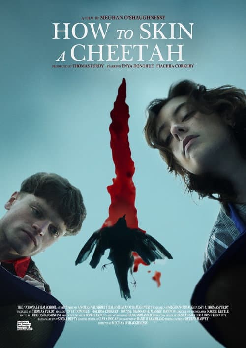 How to Skin a Cheetah poster