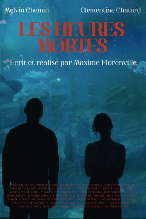 Les Heures Mortes poster