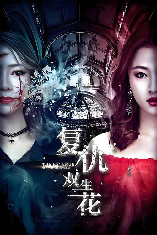 复仇双生花 poster