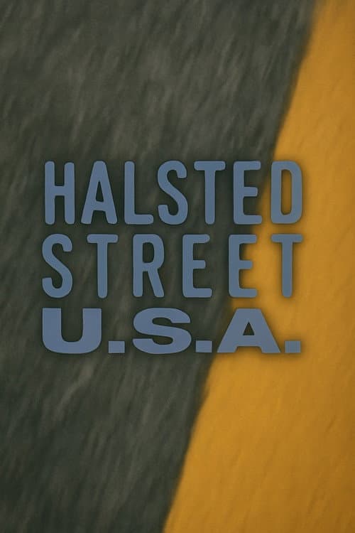 Halsted Street, USA poster