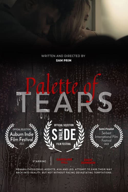 Palette of Tears poster