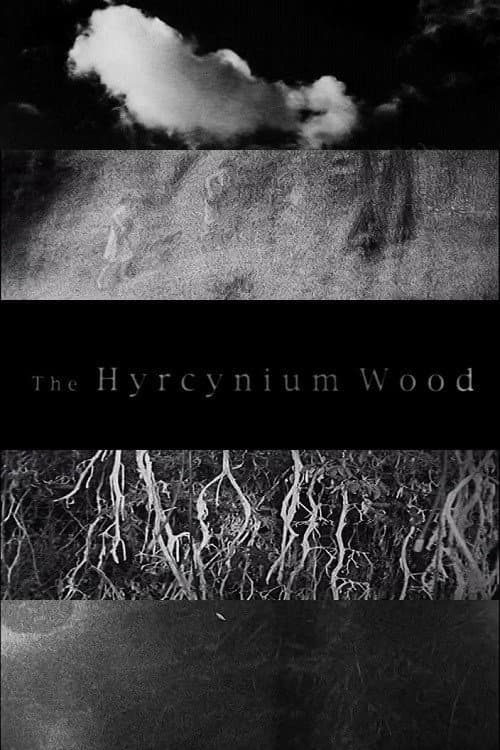 The Hyrcynium Wood poster