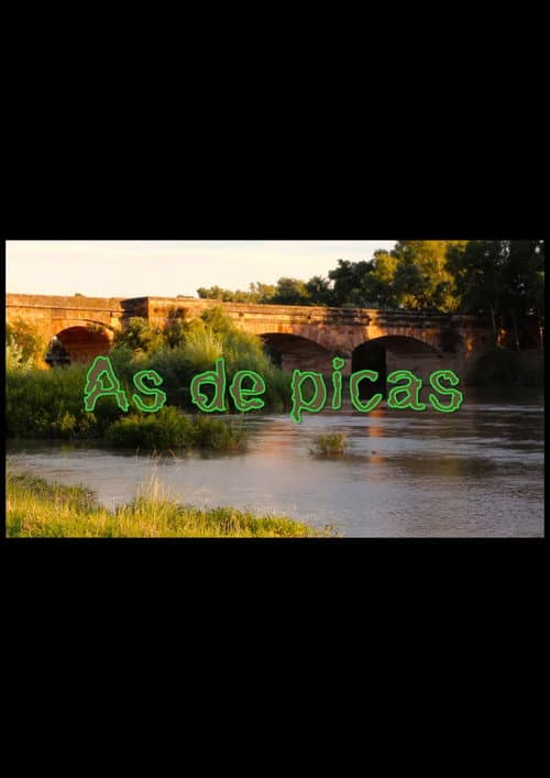 As de Picas poster