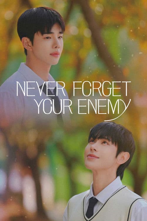 Never Forget Your Enemy poster