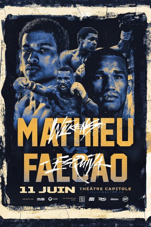 Wilkens Mathieu vs. Esquiva Falcao poster