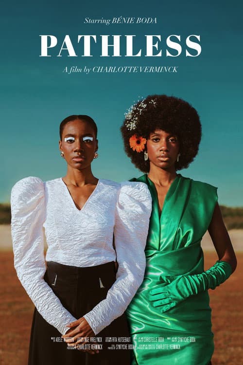Pathless poster