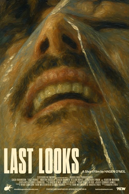 LAST LOOKS poster
