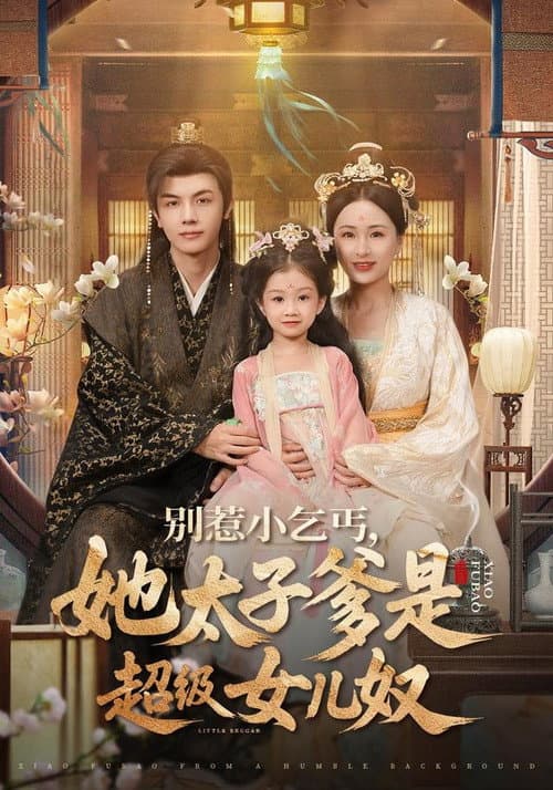 别惹小乞丐，她太子爹是超级女儿奴 poster
