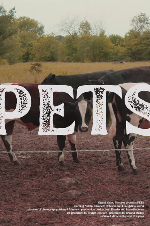 Pets poster