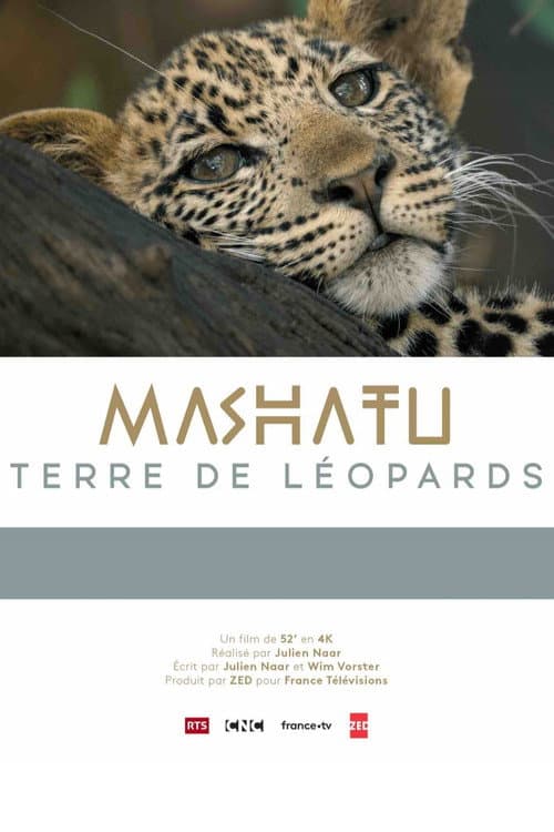 Mashatu: Land of Leopards poster