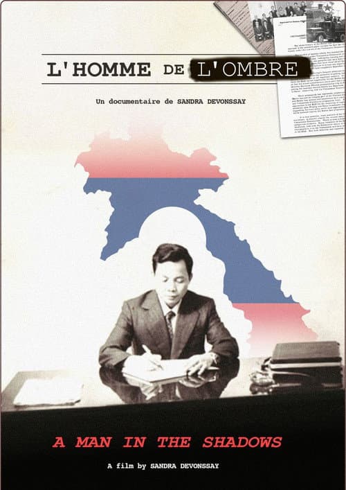 L'homme de l'ombre poster