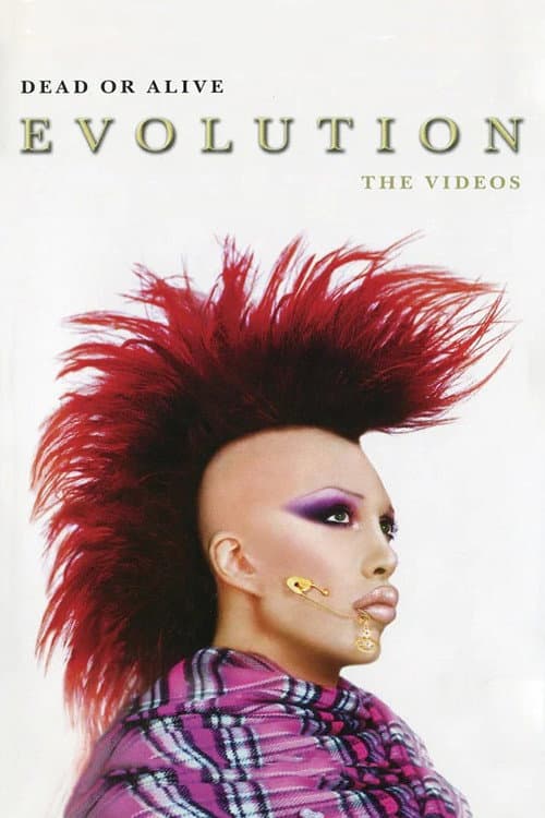 Dead Or Alive: Evolution - The Videos poster