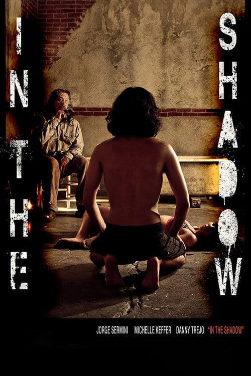 In the Shadow poster