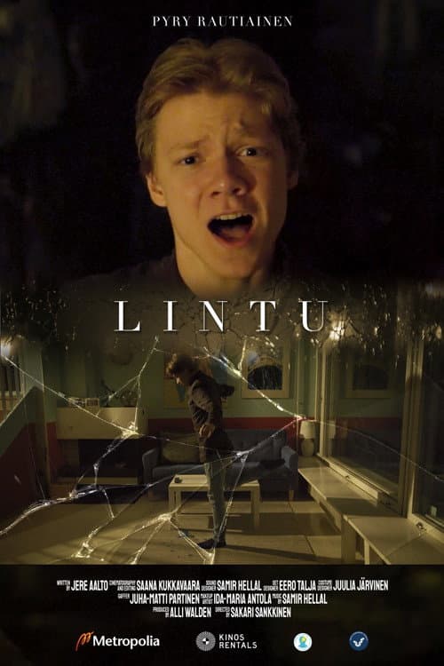Lintu poster