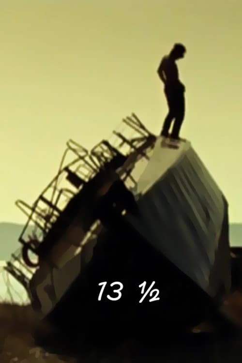 13½ poster
