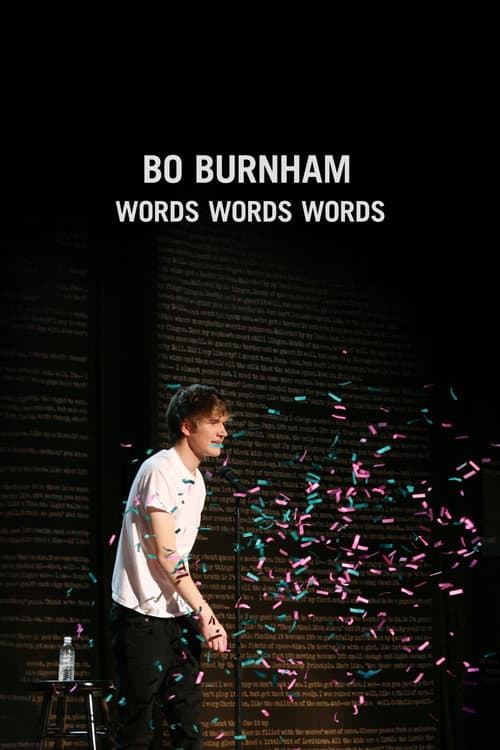 Bo Burnham: Words, Words, Words poster