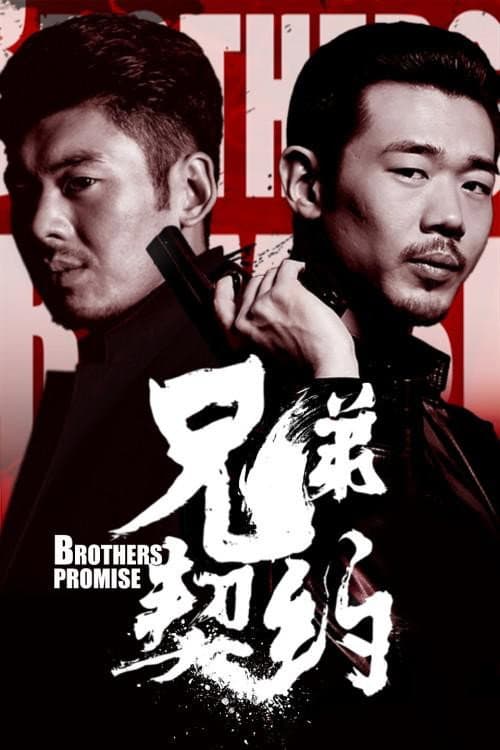 兄弟契约 poster