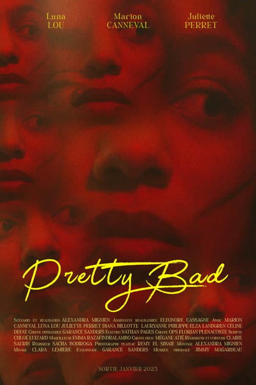Pretty Bad poster