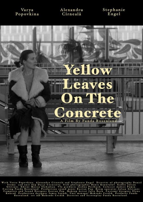 Yellow leaves on the concrete poster
