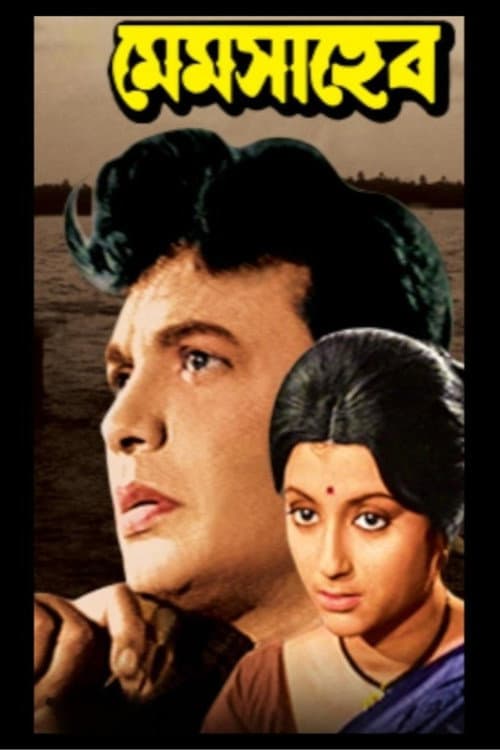Mem Saheb poster