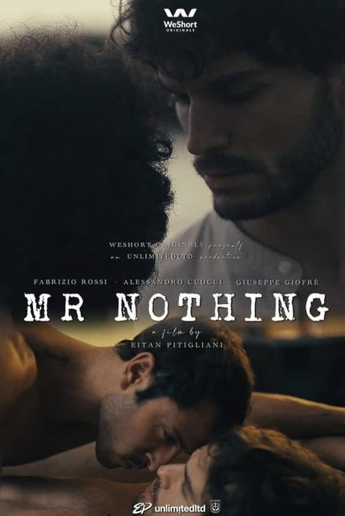 Mr. Nothing poster